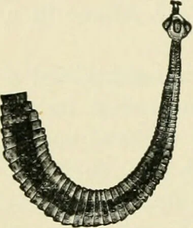 An illustration from Diseases of metabolism and of the blood : animal parasites, toxicology / ed. by Richard C. Cabot ... An authorized translation from "Die deutsche klinik" under the general editorial supervision of Julius L. Salinger, M. D. With one colored plate and fifty-eight illustrations in the text., 1906, leaf 544