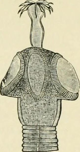 An illustration from Diseases of metabolism and of the blood : animal parasites, toxicology / ed. by Richard C. Cabot ... An authorized translation from "Die deutsche klinik" under the general editorial supervision of Julius L. Salinger, M. D. With one colored plate and fifty-eight illustrations in the text., 1906, leaf 544