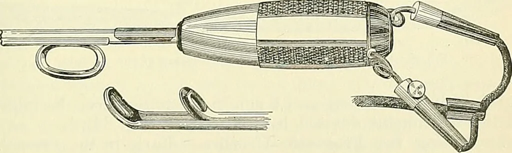 An illustration from An American text-book of genito-urinary diseases, syphilis and diseases of the skin / Ed. by L. Bolton Bangs ... and W. A. Hardaway ... Illustrated with 300 engravings and 20 full-page colored plates., 1898, leaf 307