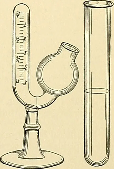 An illustration from An American text-book of genito-urinary diseases, syphilis and diseases of the skin / Ed. by L. Bolton Bangs ... and W. A. Hardaway ... Illustrated with 300 engravings and 20 full-page colored plates., 1898, leaf 37