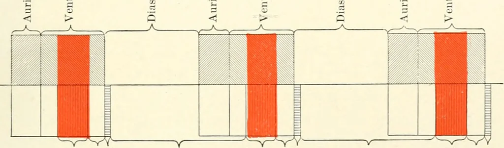 An illustration from Diseases of the heart and arterial system : designed to be a practical presentation of the subject for the use of students and practitioners of medicine / by Robert H. Babcock ... with three coloured plates and one hundred and thirty-nine illustrations., 1903, leaf 371