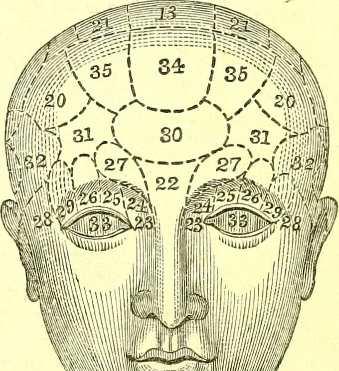 An illustration from Outlines of prenology., 1836, leaf 2