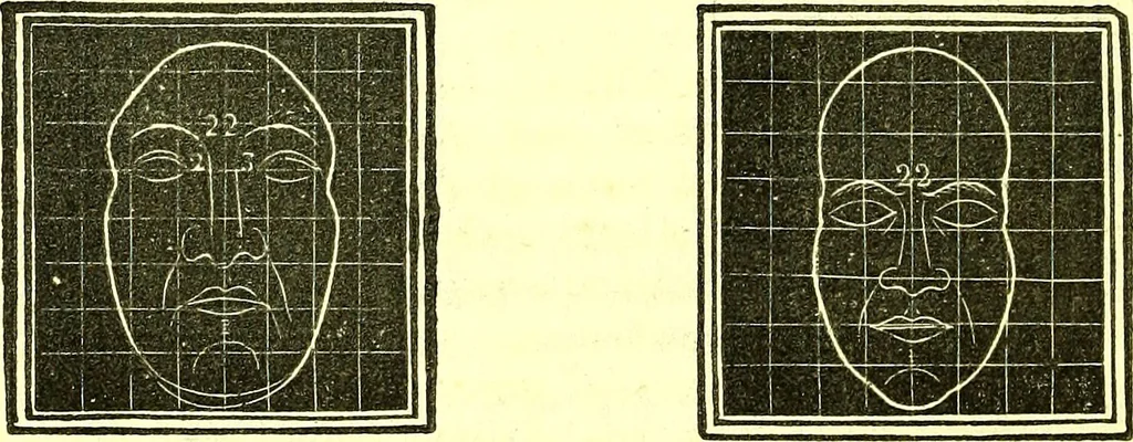 An illustration from Outlines of prenology., 1836, leaf 22