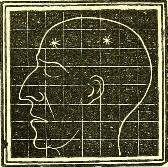 An illustration from Outlines of prenology., 1836, leaf 35