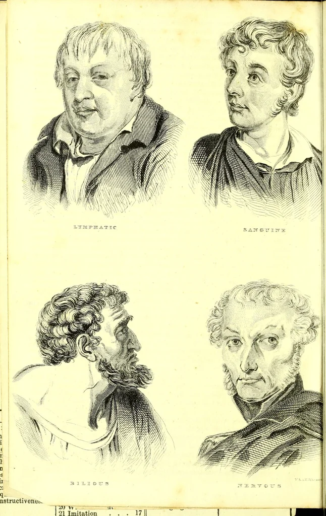 An illustration from Outlines of prenology., 1836, leaf 8