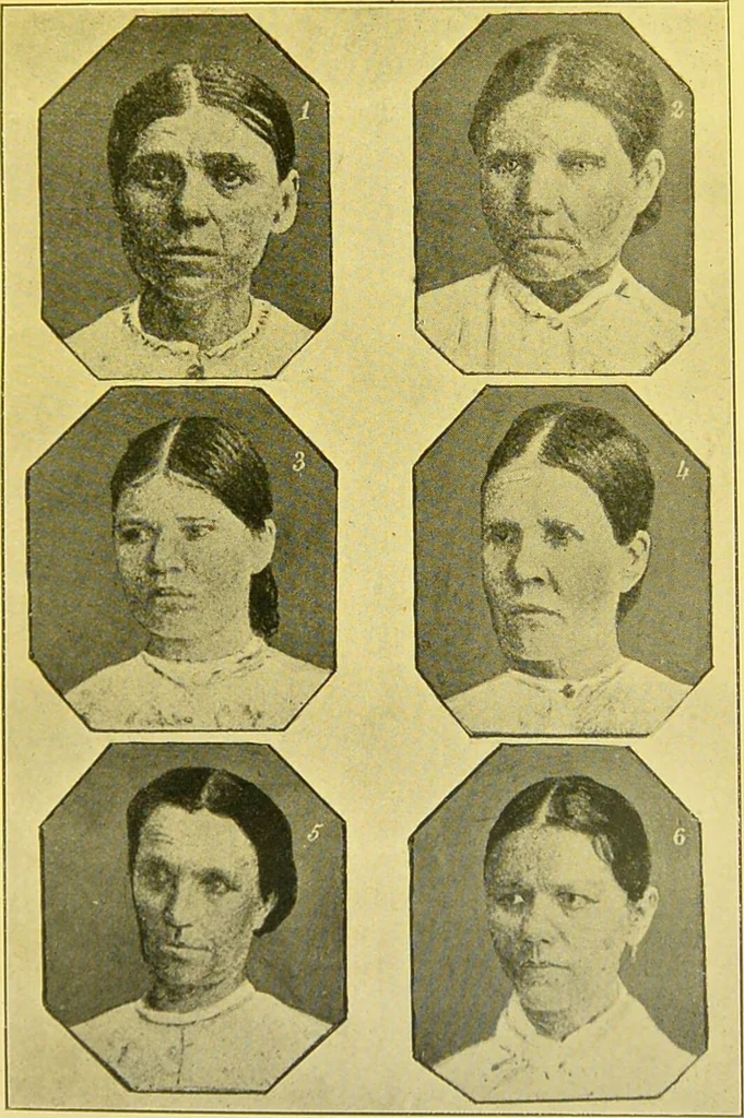 An illustration from The female offender / by Cæsar Lombroso and William Ferrero ; with an introduction by W. Douglas Morrison., 1895, leaf 117