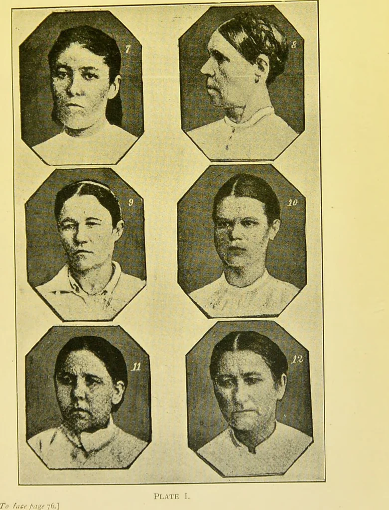 An illustration from The female offender / by Cæsar Lombroso and William Ferrero ; with an introduction by W. Douglas Morrison., 1895, leaf 119