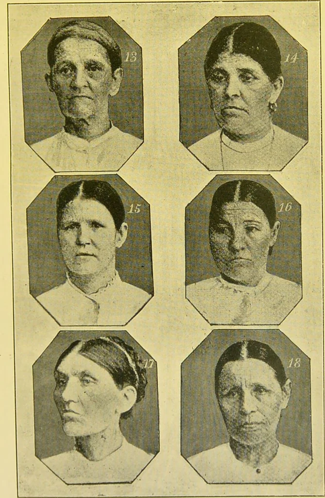 An illustration from The female offender / by Cæsar Lombroso and William Ferrero ; with an introduction by W. Douglas Morrison., 1895, leaf 121