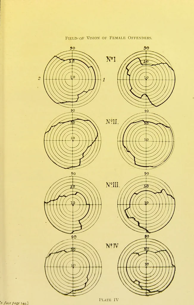 An illustration from The female offender / by Cæsar Lombroso and William Ferrero ; with an introduction by W. Douglas Morrison., 1895, leaf 225