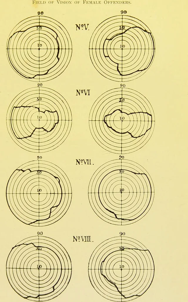 An illustration from The female offender / by Cæsar Lombroso and William Ferrero ; with an introduction by W. Douglas Morrison., 1895, leaf 227