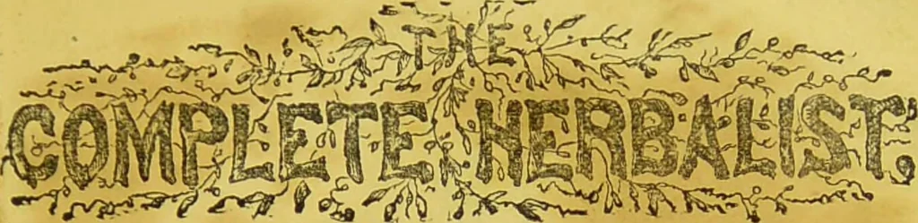 An illustration from The complete herbalist, or, the people their own physicians by the use of nature's remedies showing the great curative properties of all herbs, gums, balsams, barks, flowers and roots ; how they should be prepared, when and under what influences selected, at what times gathered, and for what diseases administered. Also, separate treatises on fod and drinks ; clothing ; exercise ; the regulation of the passions, life, health, and disease; longevity; medication; air and sunshine ; bathing ; sleep, etc. Also, symptoms of prevalent diseases ; special treatment in special cases; and a new and plain system of hygienic principles / by O. Phelps Brown., 1871, leaf 5