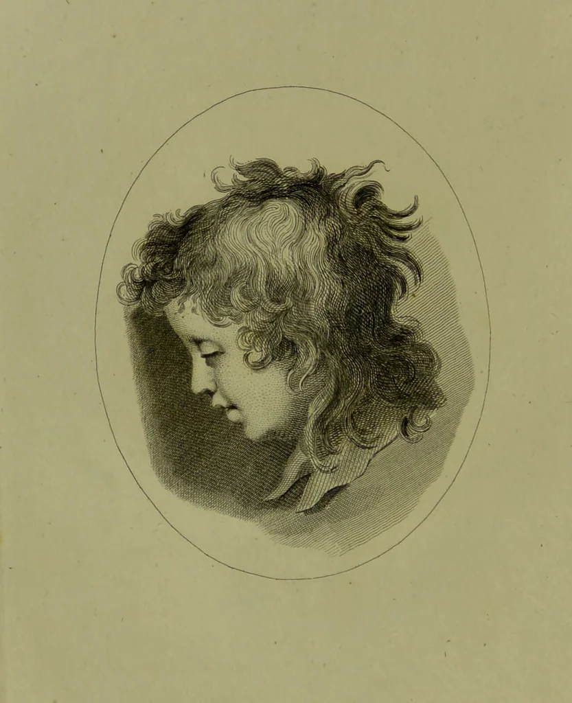 An illustration from Essays on physiognomy : for the promotion of the knowledge and the love of mankind / written in the German language by John Caspar Lavater ; and translated into English by Thomas Holcroft., 1804, leaf 100