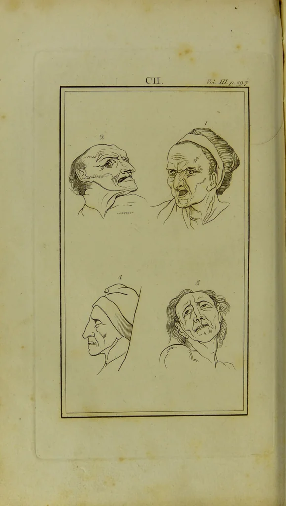 An illustration from Essays on physiognomy : for the promotion of the knowledge and the love of mankind / written in the German language by John Caspar Lavater ; and translated into English by Thomas Holcroft., 1804, leaf 108