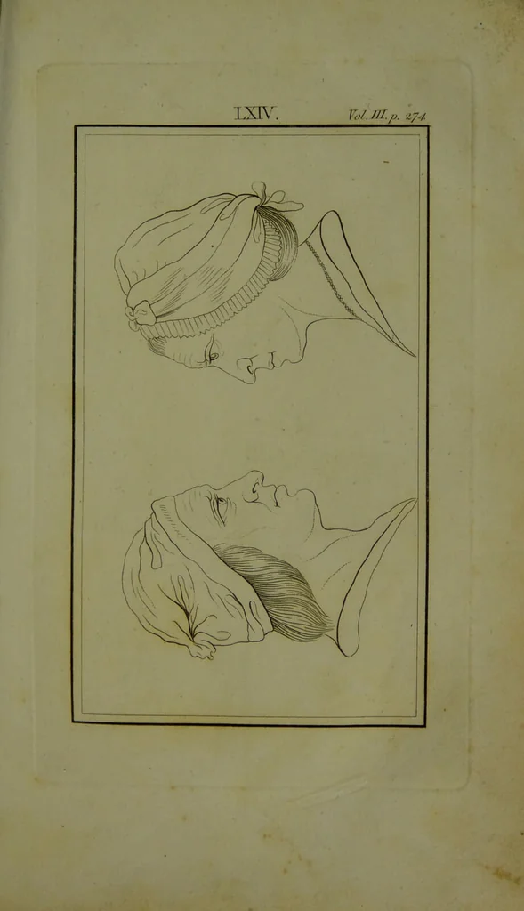 An illustration from Essays on physiognomy : for the promotion of the knowledge and the love of mankind / written in the German language by John Caspar Lavater ; and translated into English by Thomas Holcroft., 1804, leaf 11