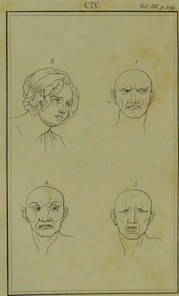 An illustration from Essays on physiognomy : for the promotion of the knowledge and the love of mankind / written in the German language by John Caspar Lavater ; and translated into English by Thomas Holcroft., 1804, leaf 114