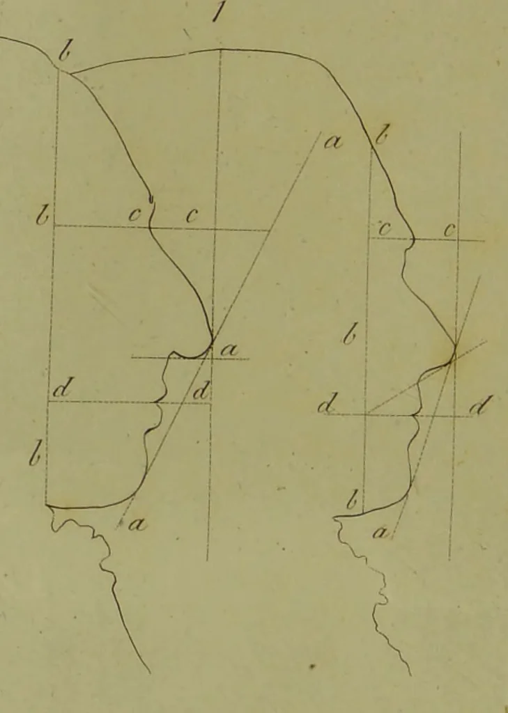 An illustration from Essays on physiognomy : for the promotion of the knowledge and the love of mankind / written in the German language by John Caspar Lavater ; and translated into English by Thomas Holcroft., 1804, leaf 14