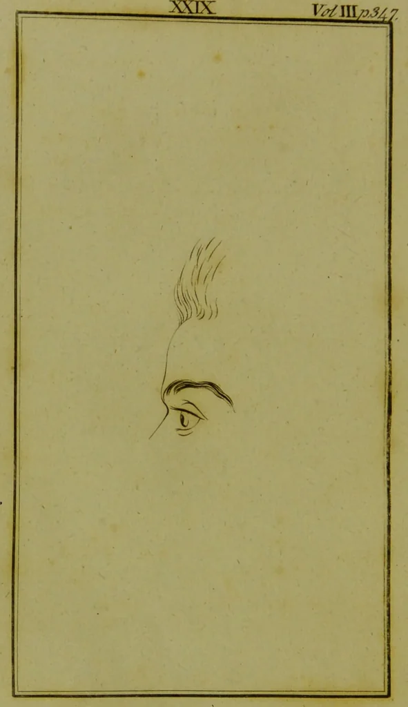 An illustration from Essays on physiognomy : for the promotion of the knowledge and the love of mankind / written in the German language by John Caspar Lavater ; and translated into English by Thomas Holcroft., 1804, leaf 284