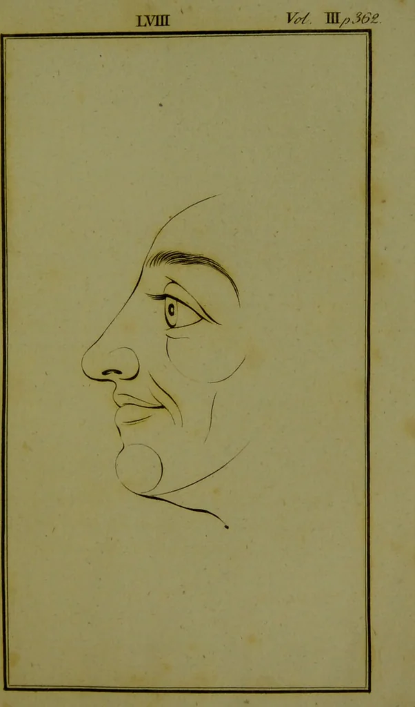 An illustration from Essays on physiognomy : for the promotion of the knowledge and the love of mankind / written in the German language by John Caspar Lavater ; and translated into English by Thomas Holcroft., 1804, leaf 345