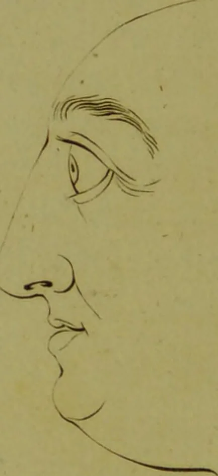 An illustration from Essays on physiognomy : for the promotion of the knowledge and the love of mankind / written in the German language by John Caspar Lavater ; and translated into English by Thomas Holcroft., 1804, leaf 374