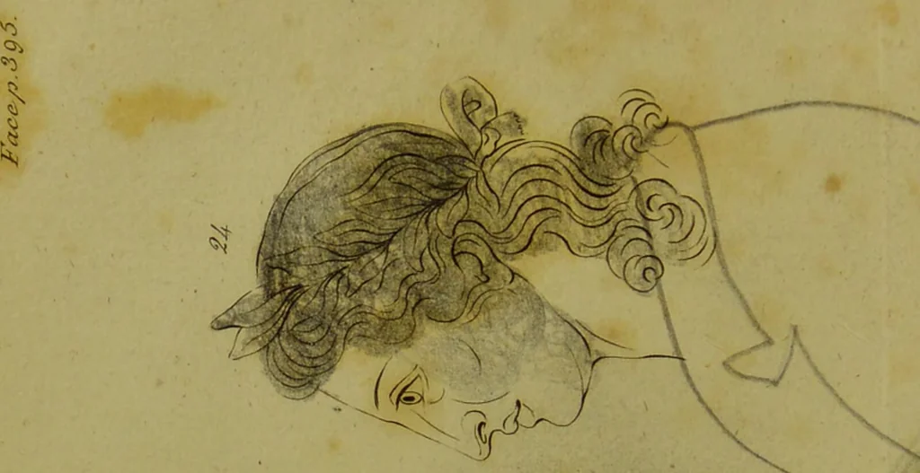 An illustration from Essays on physiognomy : for the promotion of the knowledge and the love of mankind / written in the German language by John Caspar Lavater ; and translated into English by Thomas Holcroft., 1804, leaf 410