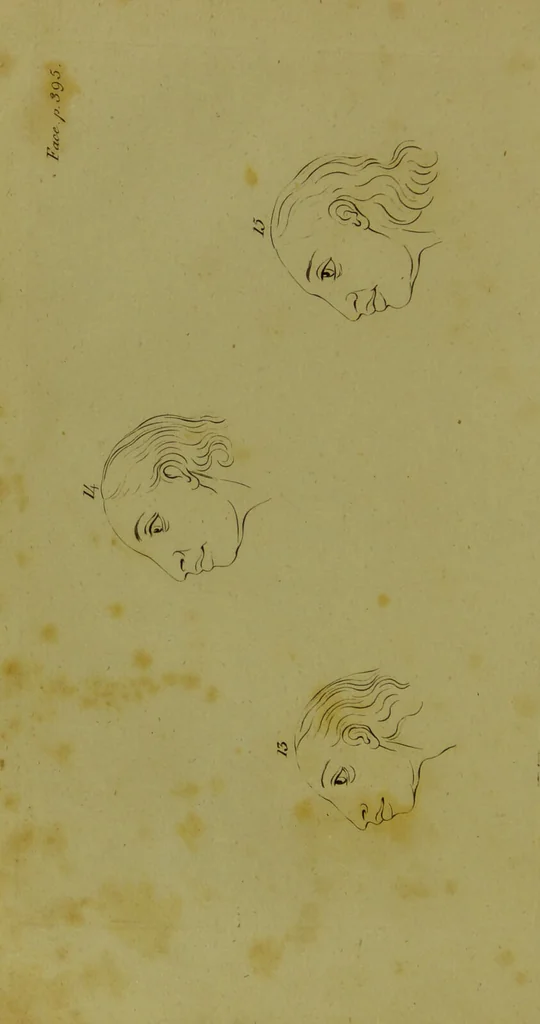 An illustration from Essays on physiognomy : for the promotion of the knowledge and the love of mankind / written in the German language by John Caspar Lavater ; and translated into English by Thomas Holcroft., 1804, leaf 416
