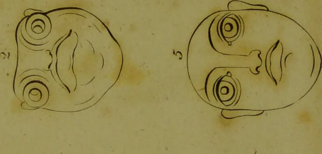 An illustration from Essays on physiognomy : for the promotion of the knowledge and the love of mankind / written in the German language by John Caspar Lavater ; and translated into English by Thomas Holcroft., 1804, leaf 421