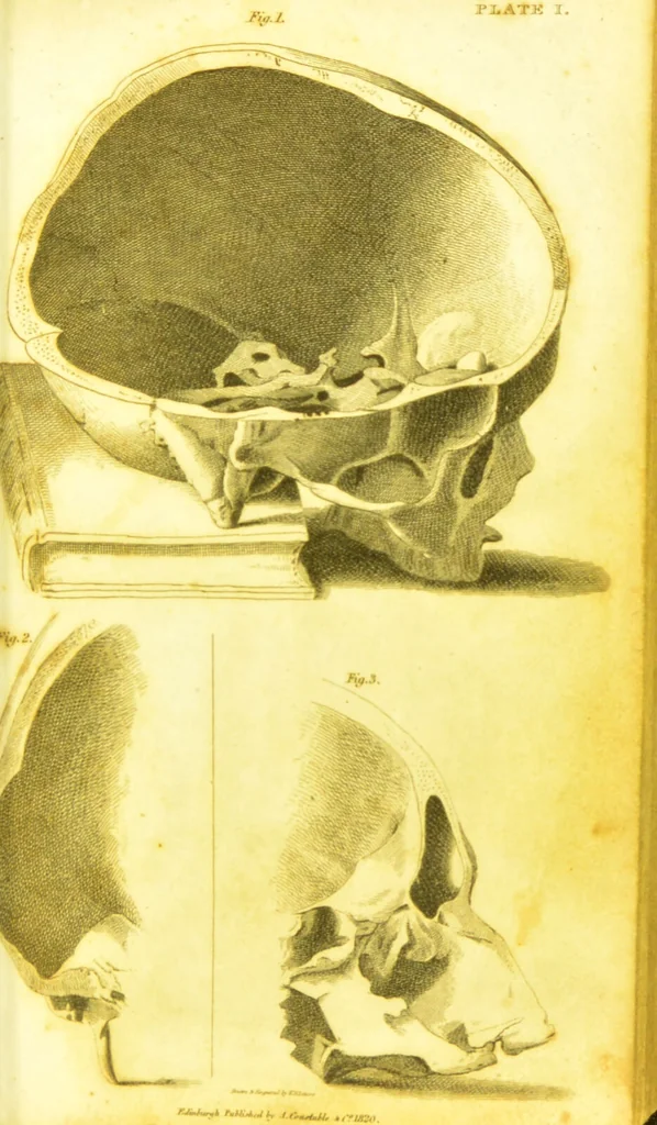 An illustration from Illustrations of phrenology / by Sir G. S. Mackenzie., 1820, leaf 289