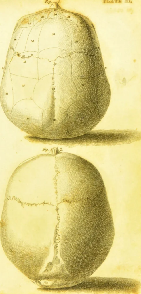 An illustration from Illustrations of phrenology / by Sir G. S. Mackenzie., 1820, leaf 293