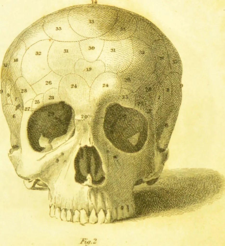 An illustration from Illustrations of phrenology / by Sir G. S. Mackenzie., 1820, leaf 295