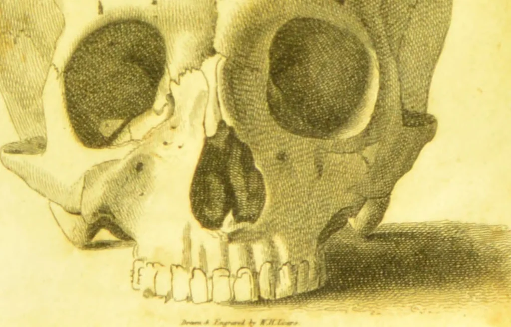 An illustration from Illustrations of phrenology / by Sir G. S. Mackenzie., 1820, leaf 295