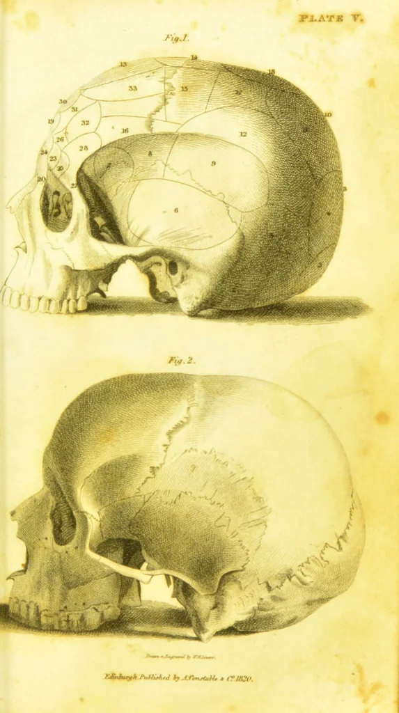 An illustration from Illustrations of phrenology / by Sir G. S. Mackenzie., 1820, leaf 297