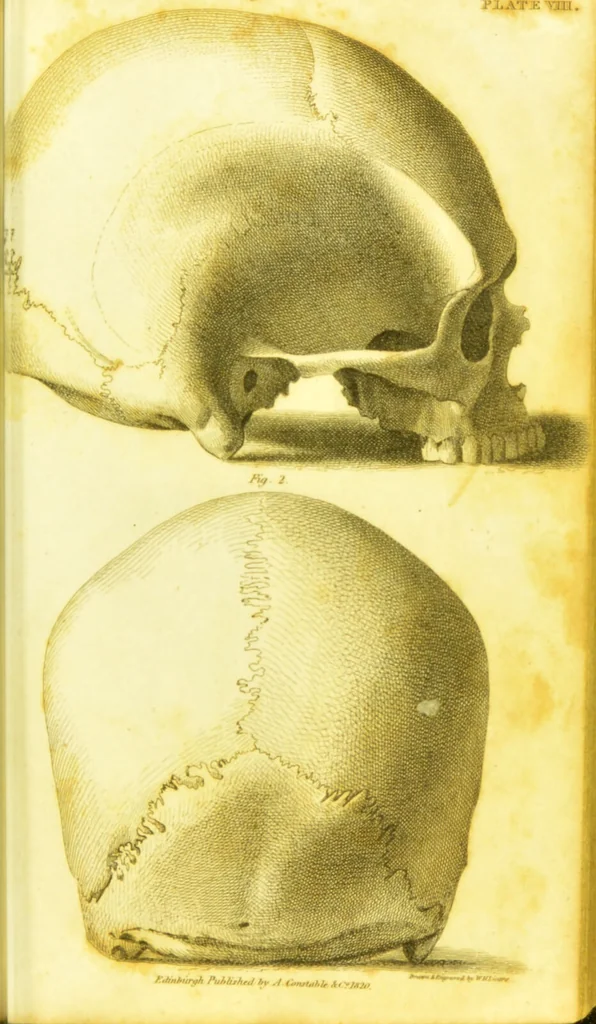 An illustration from Illustrations of phrenology / by Sir G. S. Mackenzie., 1820, leaf 303