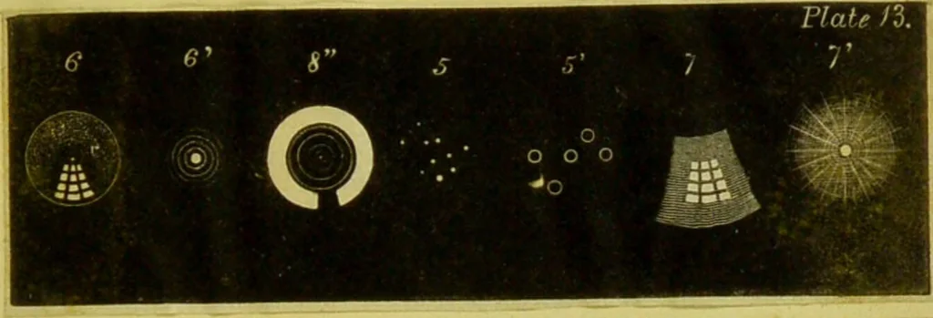 An illustration from Original microscopic drawings made between the years 1824 and 1840 mostly published in works by Dr. Goring & A. Pritchard [graphic]., 1824, leaf 37