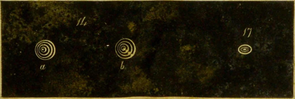 An illustration from Original microscopic drawings made between the years 1824 and 1840 mostly published in works by Dr. Goring & A. Pritchard [graphic]., 1824, leaf 37