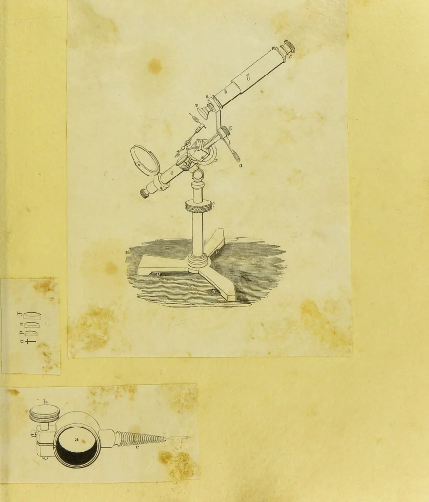 An illustration from Original microscopic drawings made between the years 1824 and 1840 mostly published in works by Dr. Goring & A. Pritchard [graphic]., 1824, leaf 39