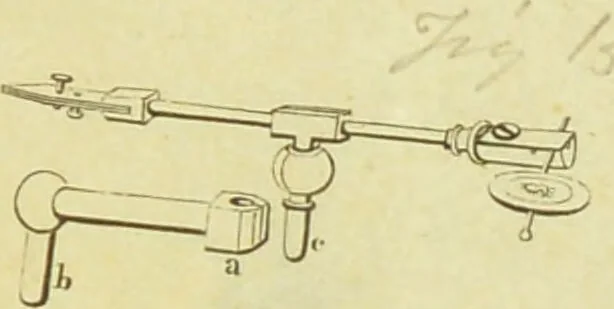 An illustration from Original microscopic drawings made between the years 1824 and 1840 mostly published in works by Dr. Goring & A. Pritchard [graphic]., 1824, leaf 83