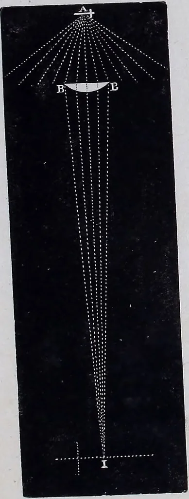 An illustration from Original microscopic drawings made between the years 1824 and 1840 mostly published in works by Dr. Goring & A. Pritchard [graphic]., 1824, leaf 92
