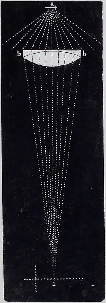 An illustration from Original microscopic drawings made between the years 1824 and 1840 mostly published in works by Dr. Goring & A. Pritchard [graphic]., 1824, leaf 93