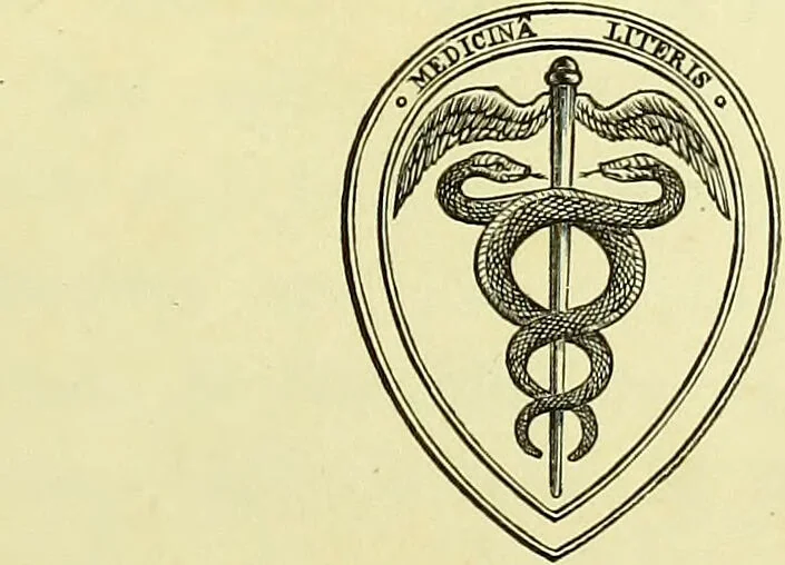 An illustration from A course of operative surgery / with plates drawn from nature by M. Léveillé and coloured by hand under his direction ; by Christopher Heath., 1877, leaf 7