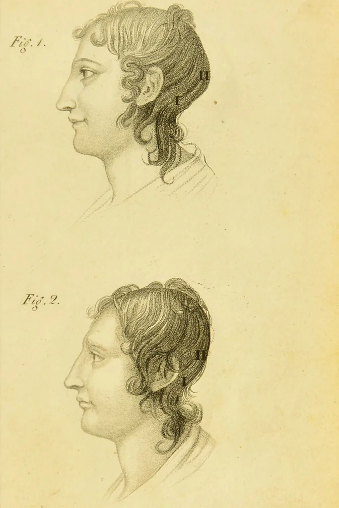 An illustration from Phrenology, or, The doctrine of the mind : and of the relations between its manifestations and the body / by J. Spurzheim., 1825, leaf 327