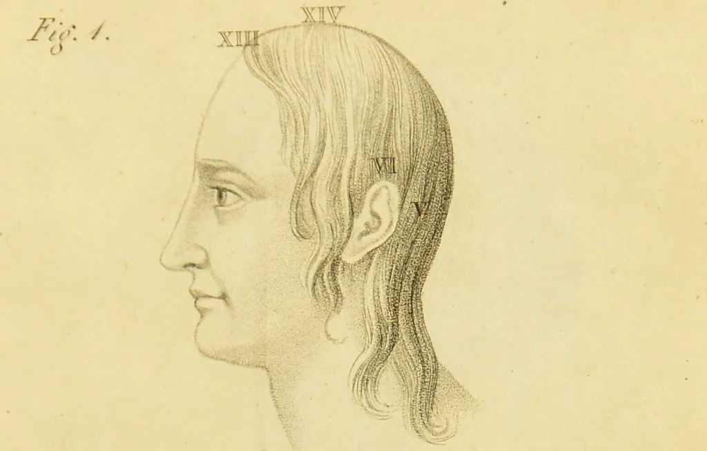An illustration from Phrenology, or, The doctrine of the mind : and of the relations between its manifestations and the body / by J. Spurzheim., 1825, leaf 335