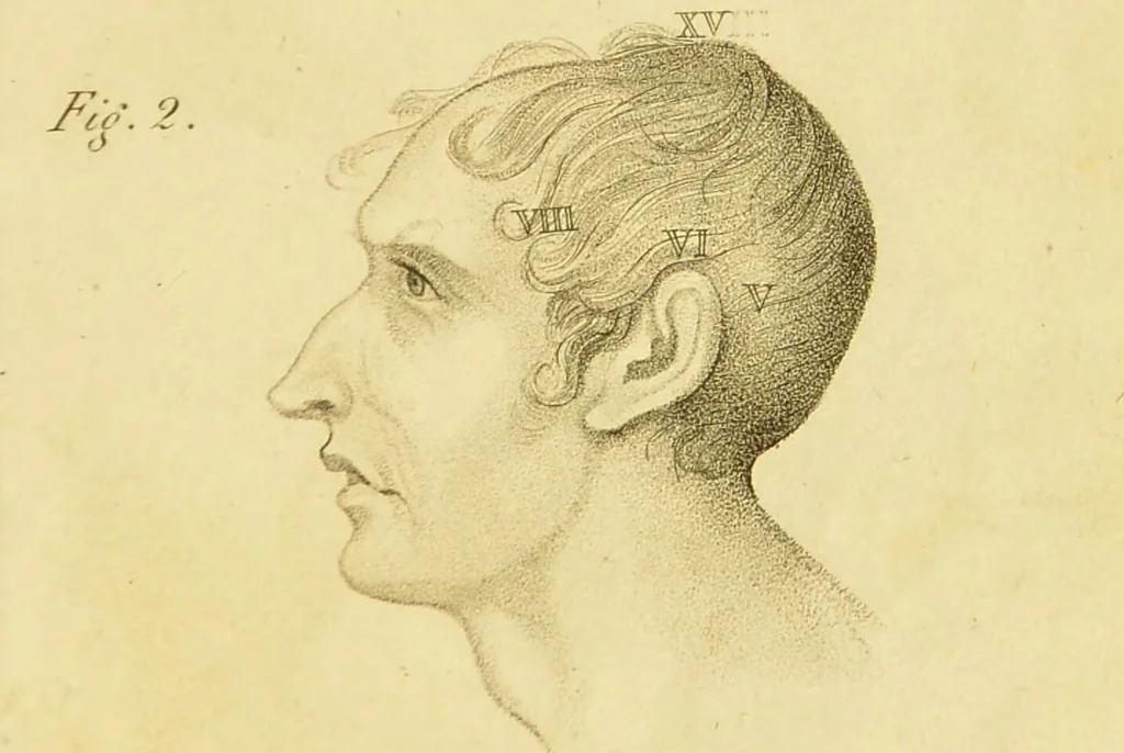 An illustration from Phrenology, or, The doctrine of the mind : and of the relations between its manifestations and the body / by J. Spurzheim., 1825, leaf 335
