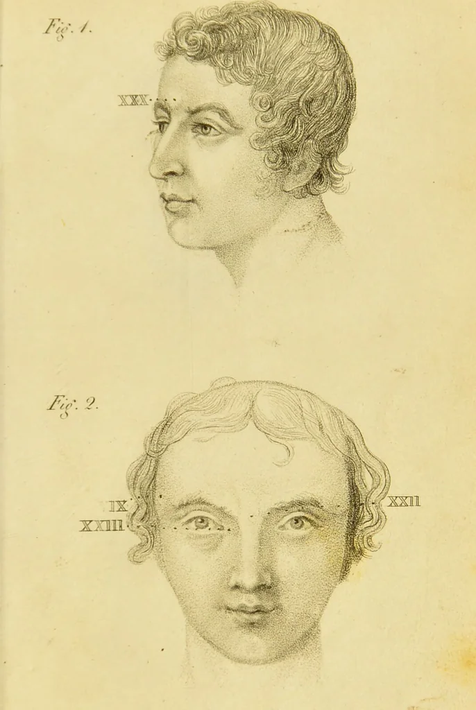 An illustration from Phrenology, or, The doctrine of the mind : and of the relations between its manifestations and the body / by J. Spurzheim., 1825, leaf 339