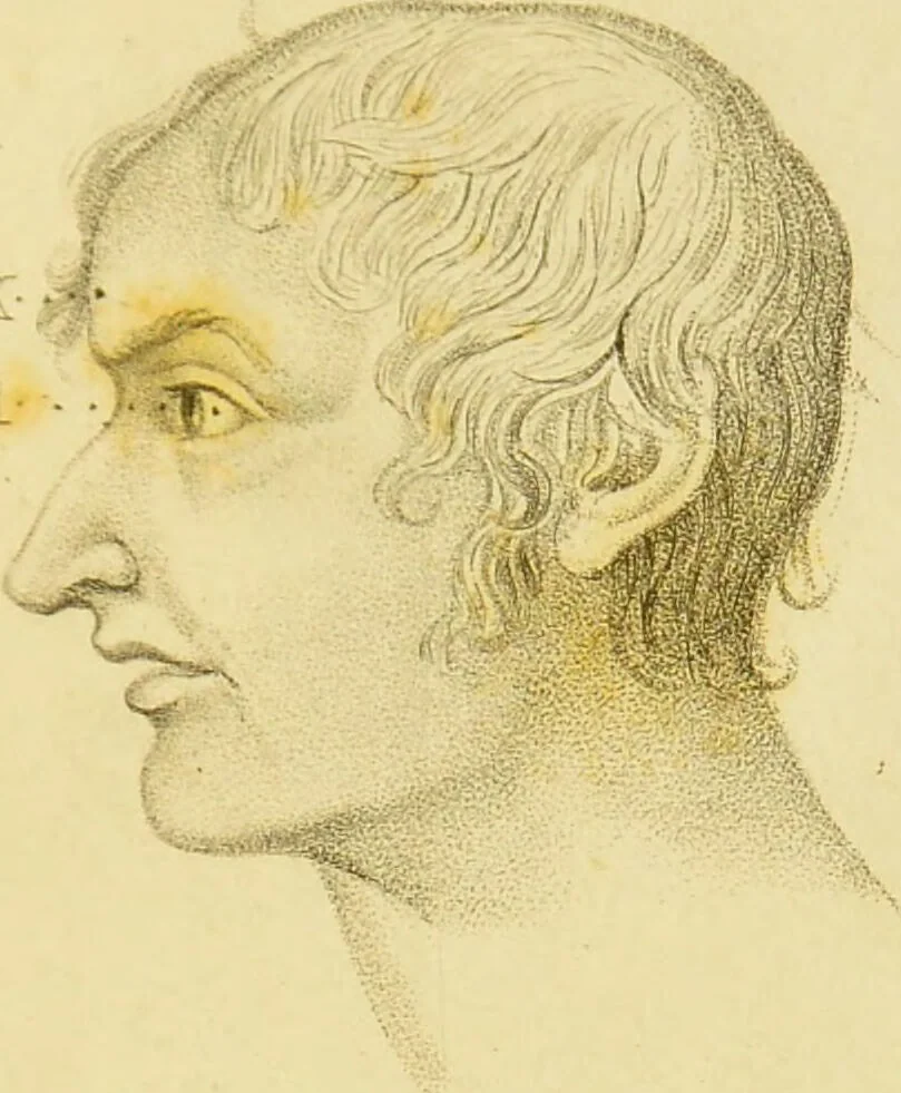 An illustration from Phrenology, or, The doctrine of the mind : and of the relations between its manifestations and the body / by J. Spurzheim., 1825, leaf 345