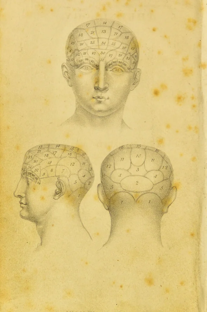 An illustration from Phrenology, or, The doctrine of the mind : and of the relations between its manifestations and the body / by J. Spurzheim., 1825, leaf 8