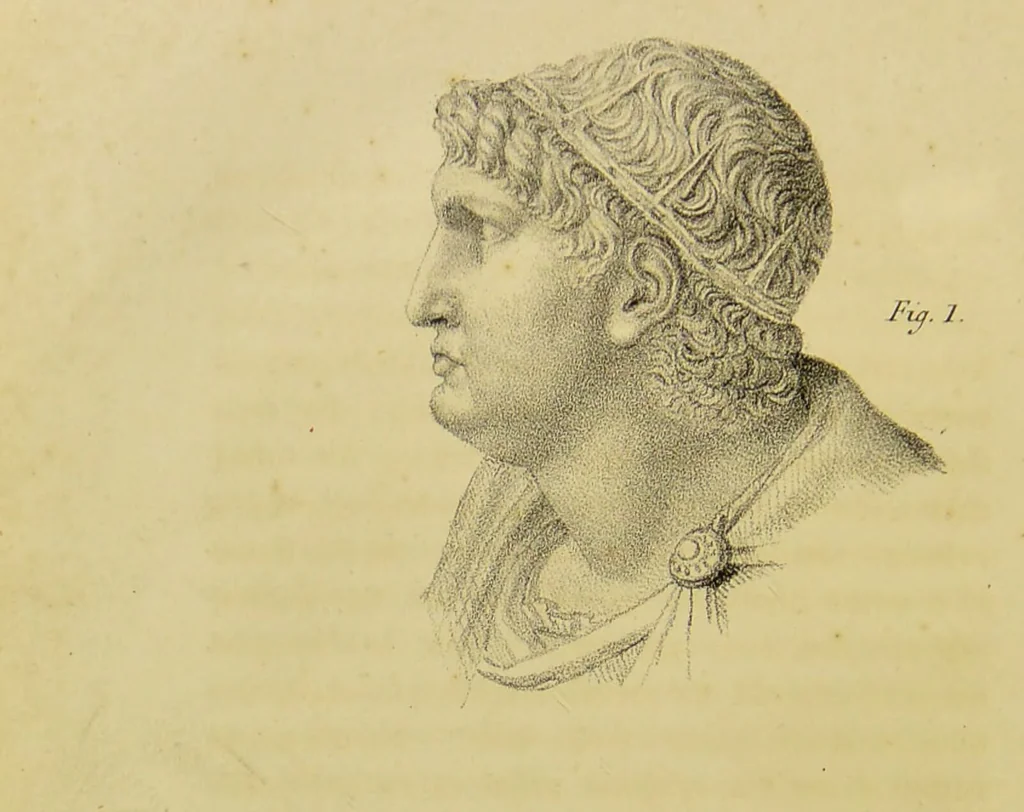 An illustration from Phrenology, in connexion with the study of physiognomy / by J. G. Spurzheim., 1826, leaf 100