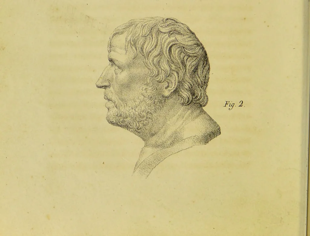 An illustration from Phrenology, in connexion with the study of physiognomy / by J. G. Spurzheim., 1826, leaf 100