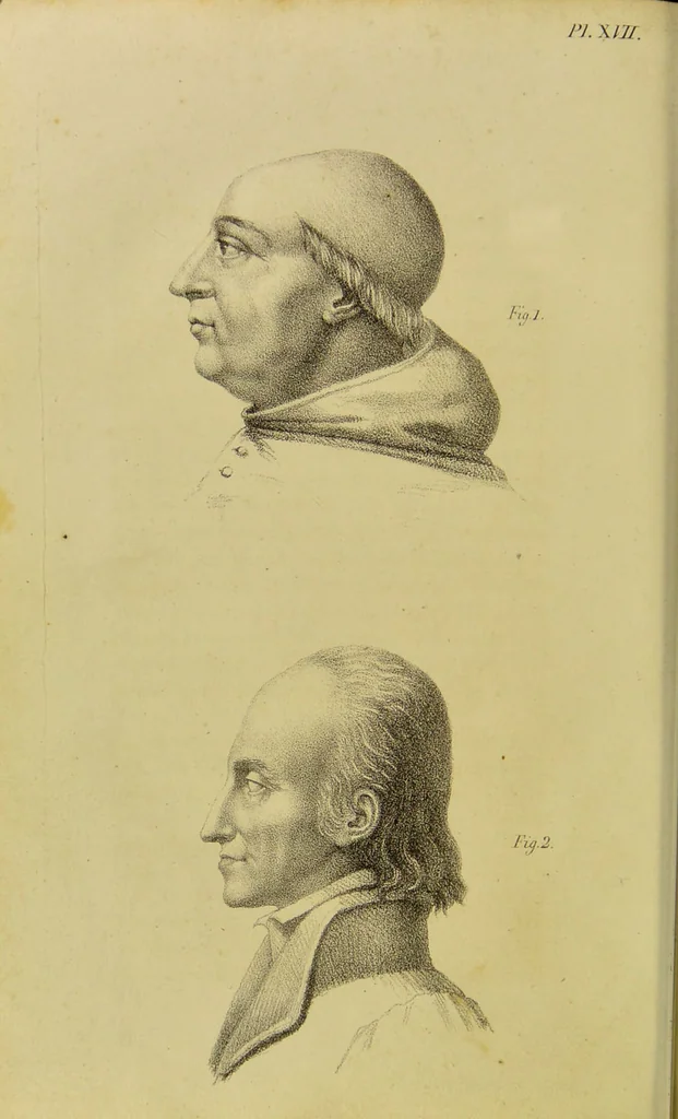 An illustration from Phrenology, in connexion with the study of physiognomy / by J. G. Spurzheim., 1826, leaf 116