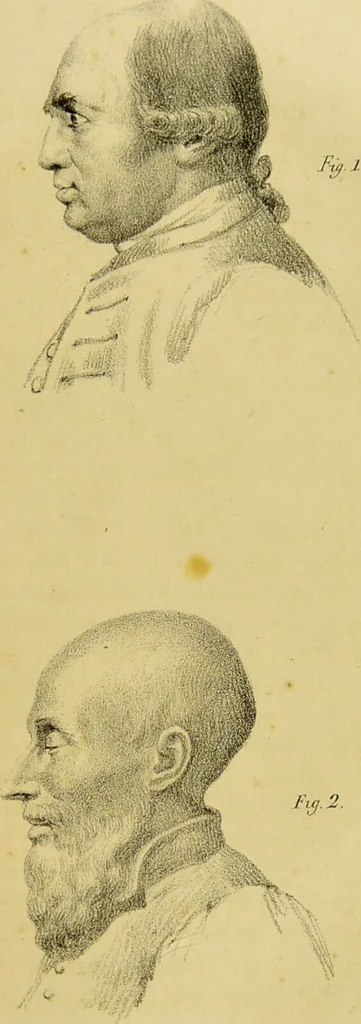 An illustration from Phrenology, in connexion with the study of physiognomy / by J. G. Spurzheim., 1826, leaf 187