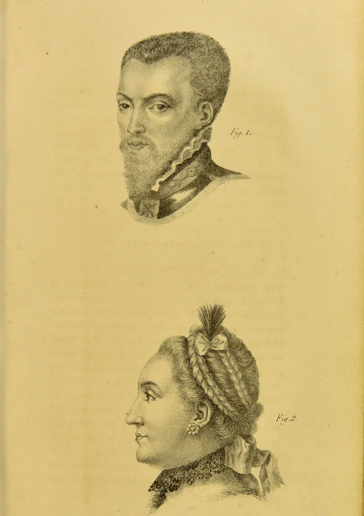 An illustration from Phrenology, in connexion with the study of physiognomy / by J. G. Spurzheim., 1826, leaf 195